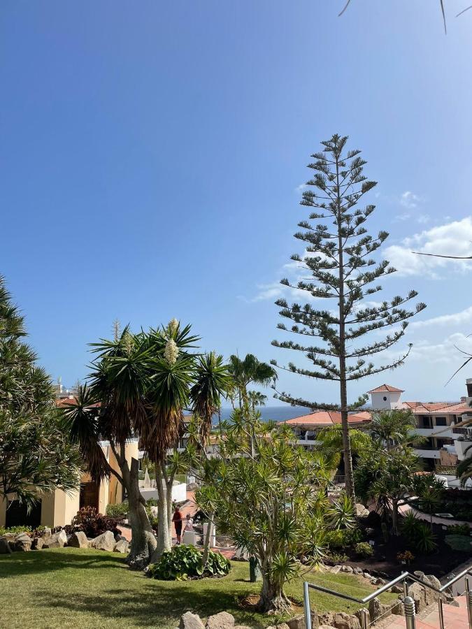 Paraiso Albatros, Beautiful Complex San Miguel de Abona Zewnętrze zdjęcie