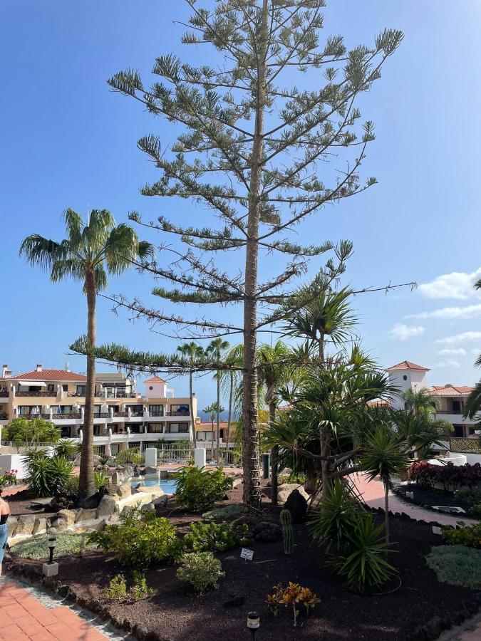 Paraiso Albatros, Beautiful Complex San Miguel de Abona Zewnętrze zdjęcie